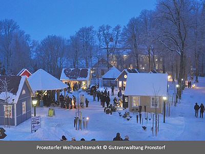 Pronstorfer Weihnachtsmarkt auf Gut Pronstorf - stimmungsvoller Adventsmarkt in Schleswig-Holstein