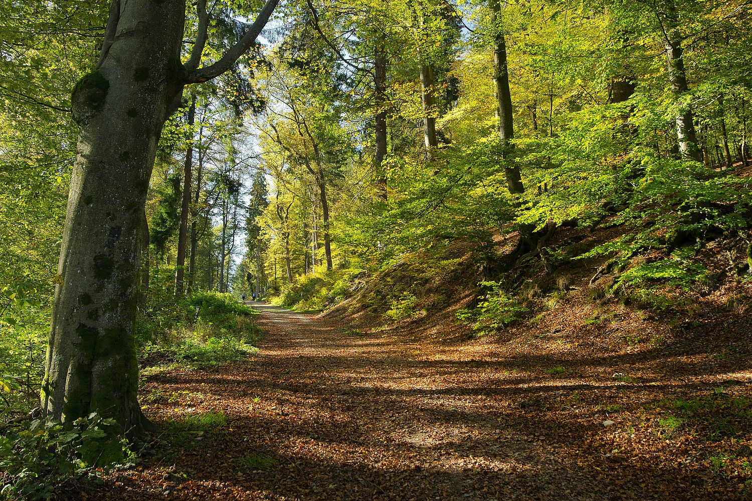 Impressionen bei CASTLEWELT - RuheForst Schloss Berleburg				