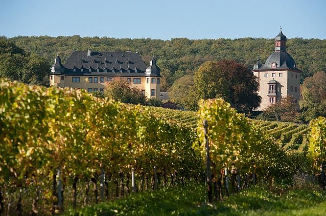 Schloss Vollrads, Ansicht vom Schlossberg