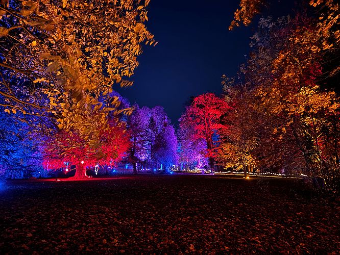 "MärchenLichter" auf Rittergut Remeringhausen