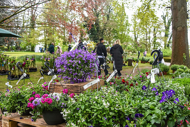 Pflanzentage" auf Rittergut Remeringhausen