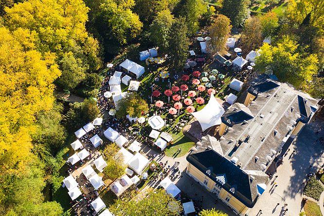 Schlosszauber Morsbroich