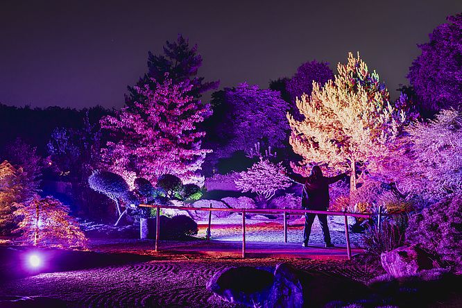 Lichtfestival in Schloss Dyck – Asia Schaugarten