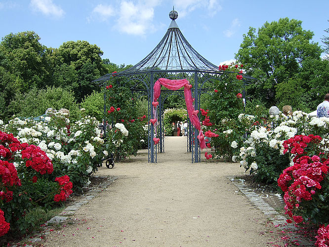 Magdalenengarten zu Hildesheim