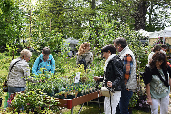 Pflanzentage" auf Rittergut Remeringhausen