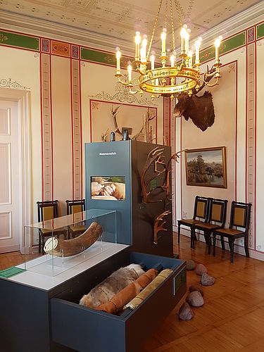 Sonderausstellung im Jagdschloss Springe Fleisch! Motor der Evolution