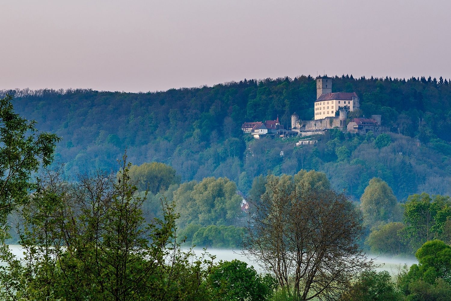 Burg Guttenberg, Burganlage oberhalb des Neckars