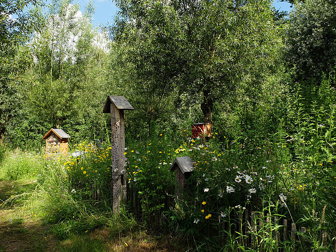 Insektenhotels in der Ippenburger Wildnis