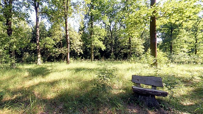 Impressionen bei CASTLEWELT - RuheForst Nauen