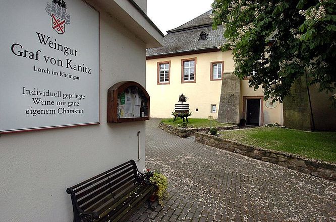 Weingut Graf von Kanitz - das Weingut