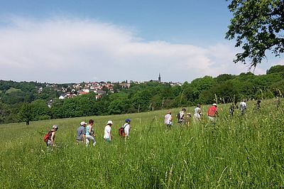 Historische Altstadt Grünberg, Wanderung