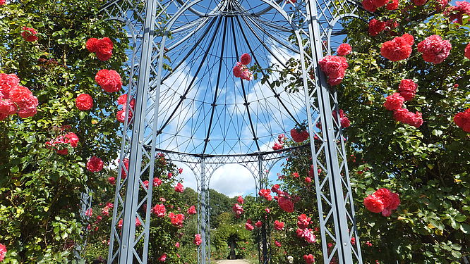 Magdalenengarten zu Hildesheim