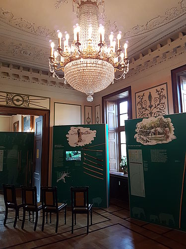 Sonderausstellung im Jagdschloss Springe Fleisch! Motor der Evolution