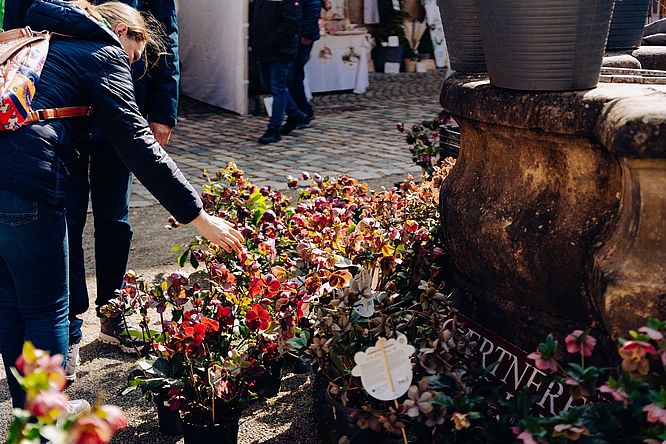 Lenzrosen & Ostermarkt Schloss Thurnau