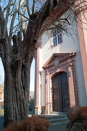 Evangelische Stadtkirche Laubach, Westportal