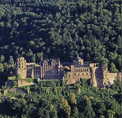 Schloss Heidelberg, die Anlage