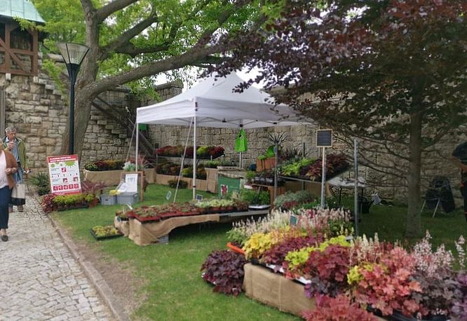 Burg &  Park Ohrdruf, Markt im Park Impressionen