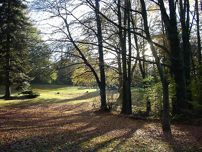 Schlosspark Laubach, Herbststimmung