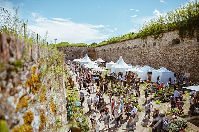 Landpartie Festung Ehrenbreitstein