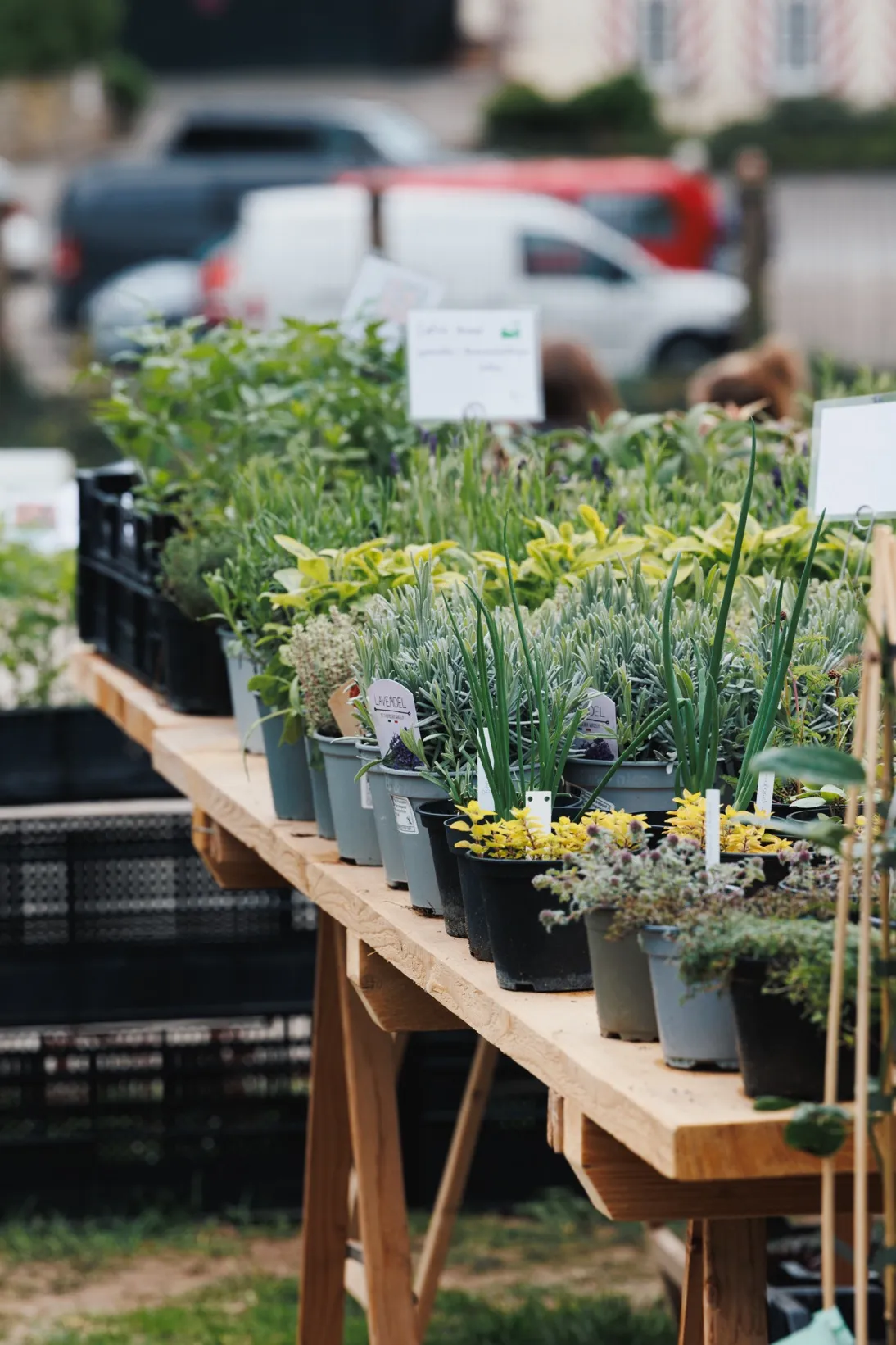 Hardenberg Gartentage