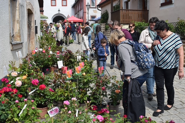 Marienplatz Hollfeld „Fränkische Kunst- & Rosentage